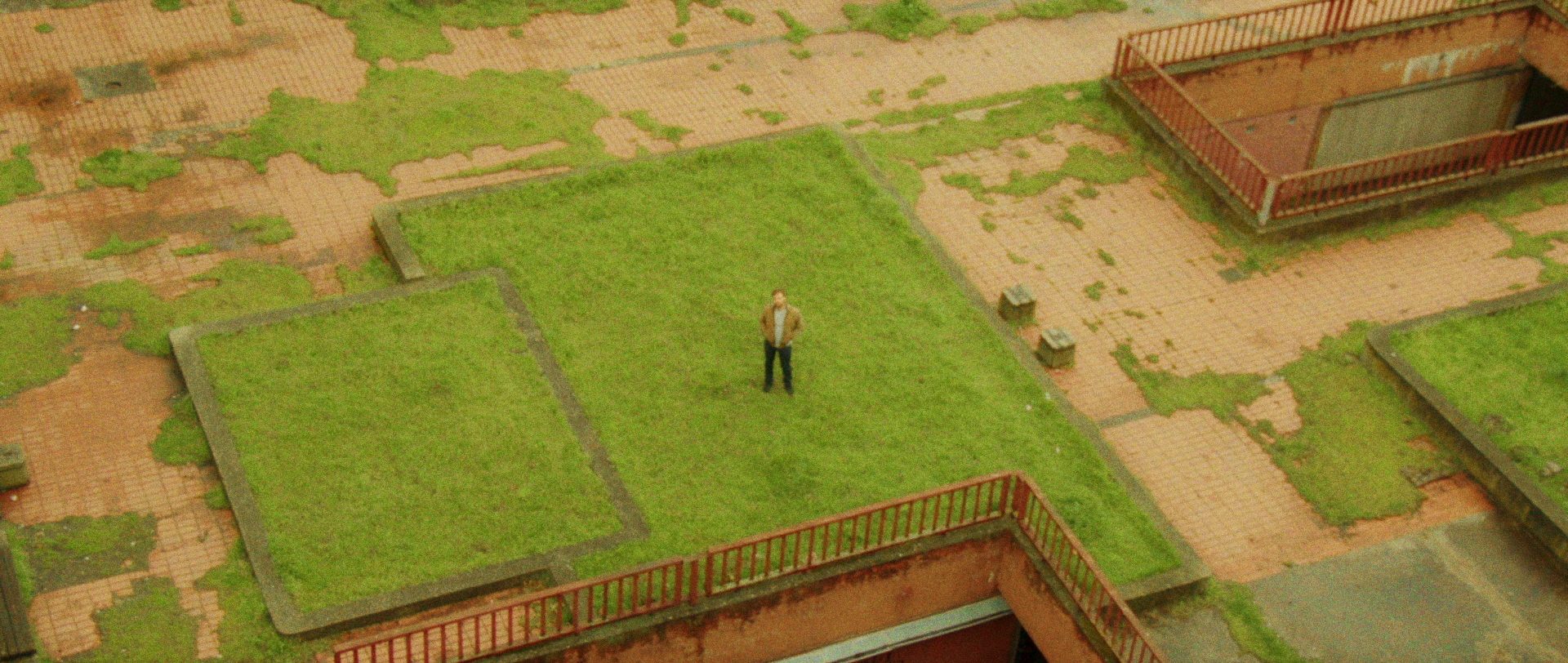 A man standing alone on an overgrown rooftop, seen from above
