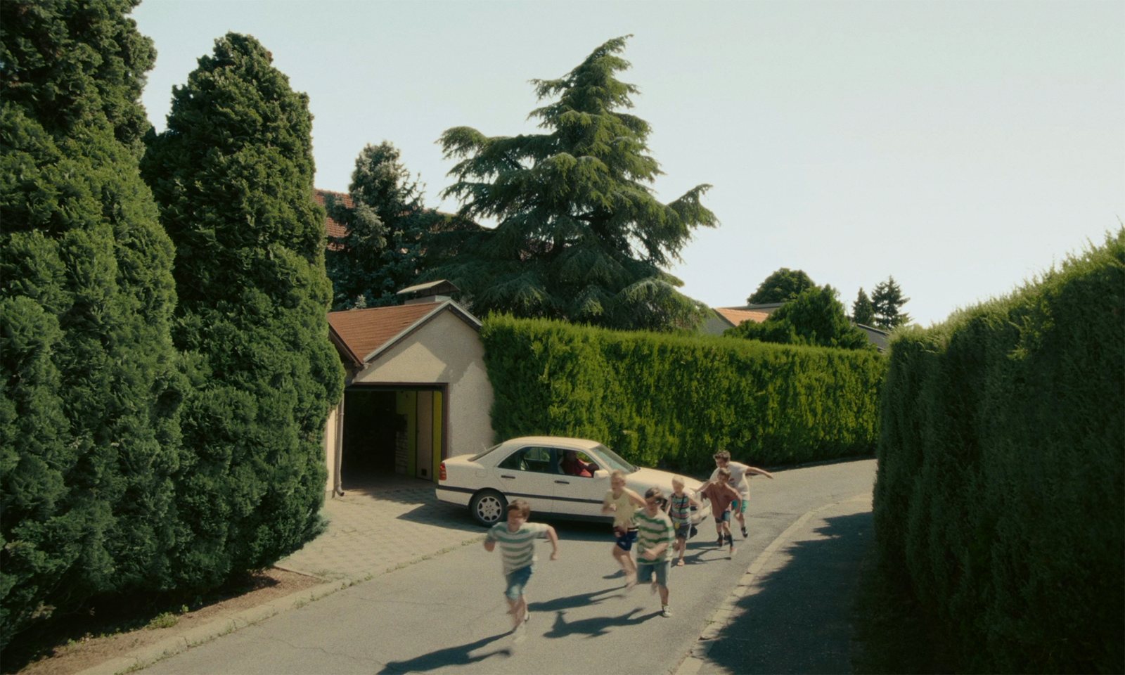 niska trava / short cut grass